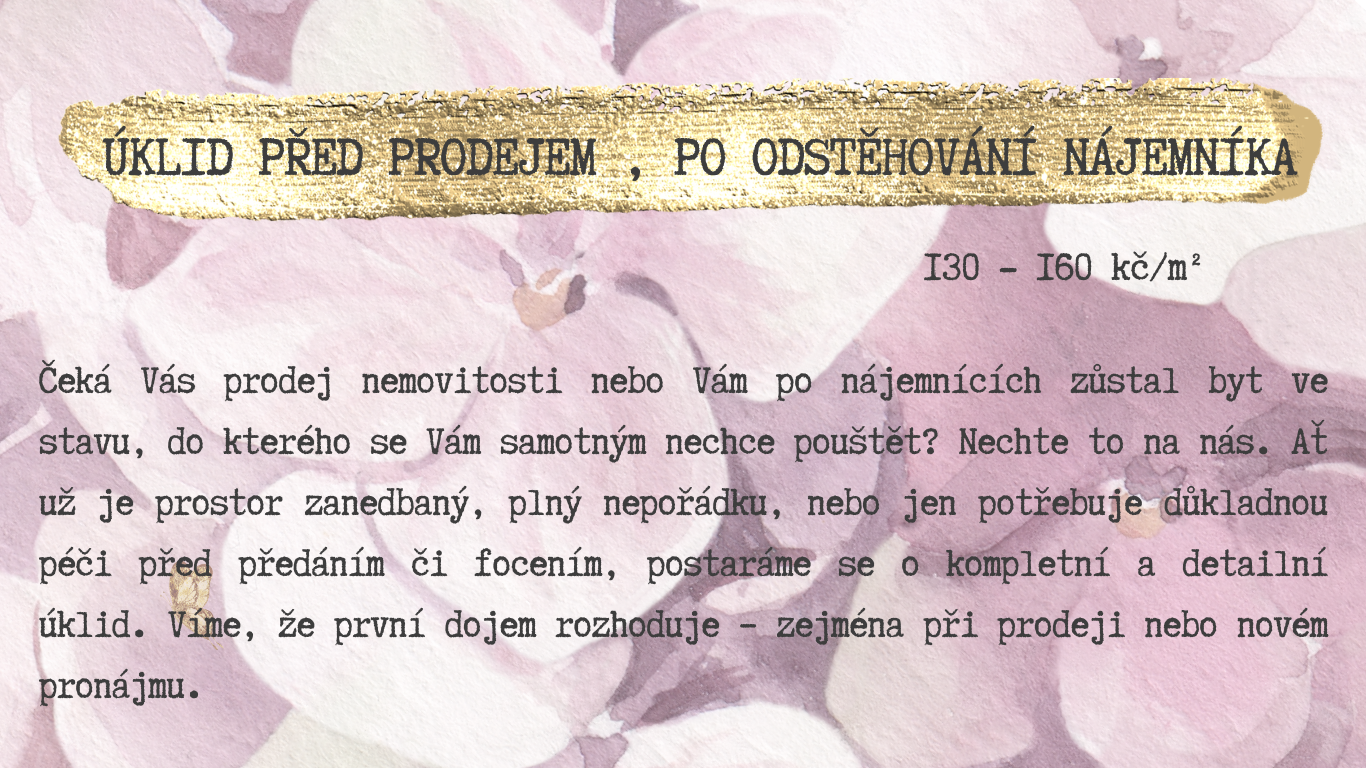 baner web (Web) (26)